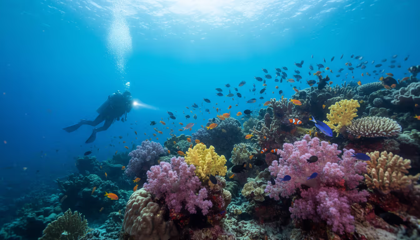 Vibrant coral reef with colorful soft corals and tropical fish schools in clear water with diver silhouette in Coral Triangle Indonesia