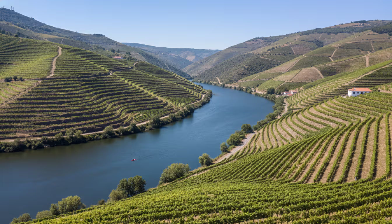 Aerial view of Portugal Douro Valley with terraced vineyards descending steeply to a winding river, a single kayaker on the water, and a small white quinta estate on the far bank under clear blue sky