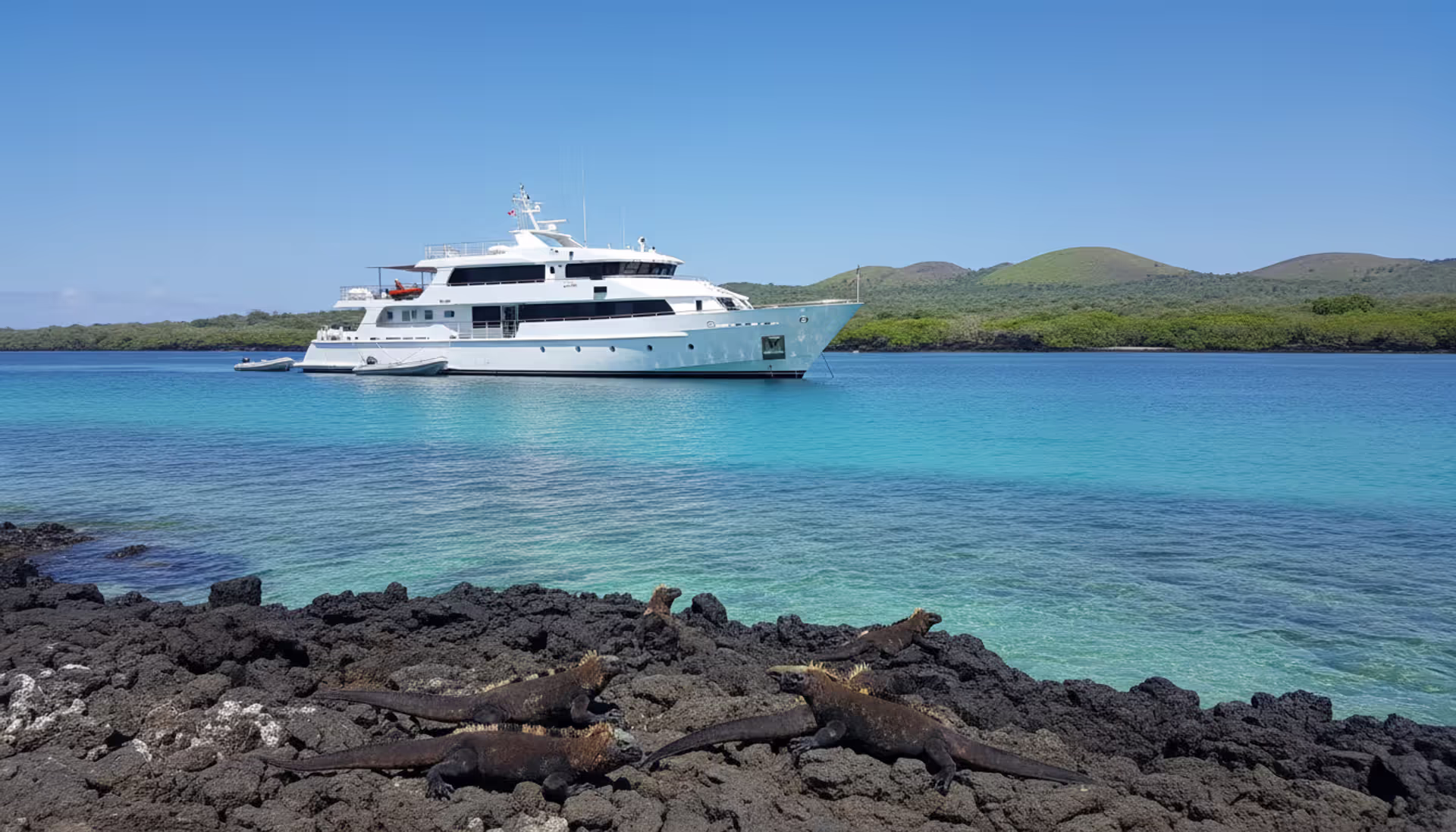Luxury small expedition yacht anchored near a volcanic Galapagos island shore with marine iguanas resting on black lava rocks and turquoise water in the foreground